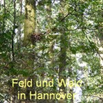 I3224-Feld und Wald-Hann-M